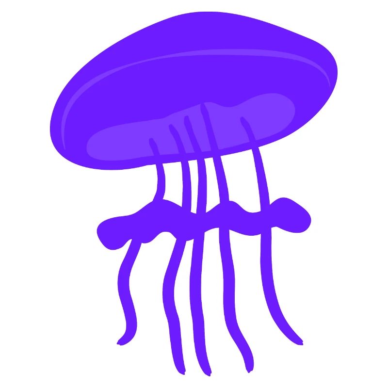 Beautiful jellyfish