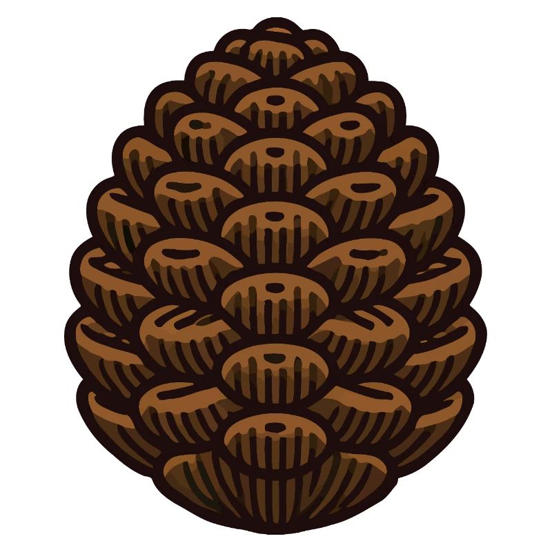 Pine cone
