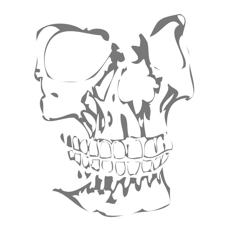 Droit crâne visage 3D