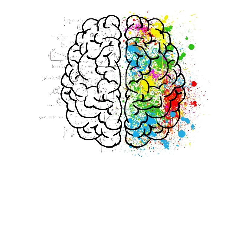 Brain Art et Science Logic & Creativity