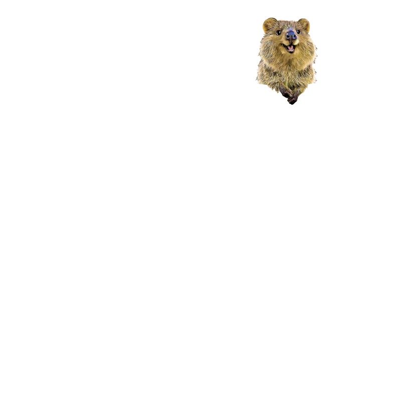 Quokka