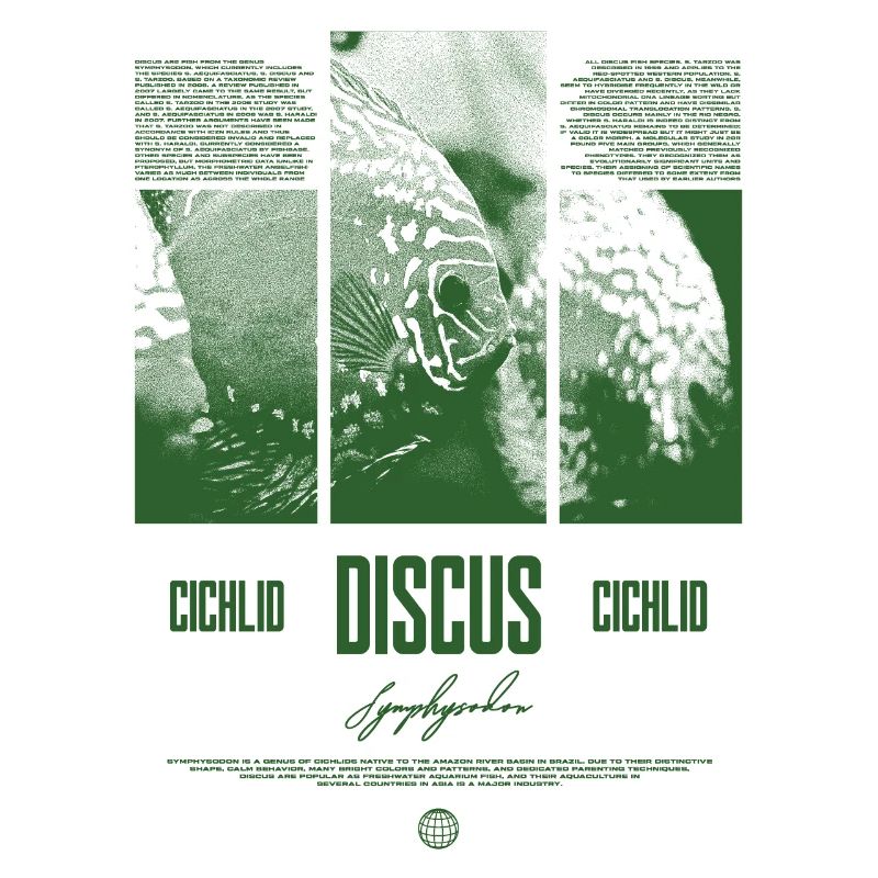 Discus Cichlidé Aquarium Fish Keeper