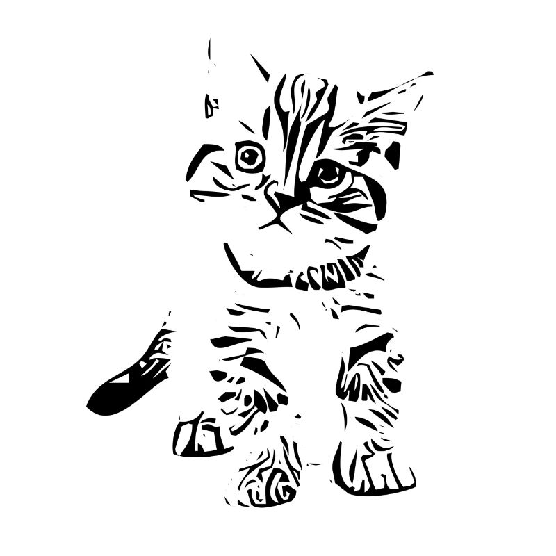 Cat Katze