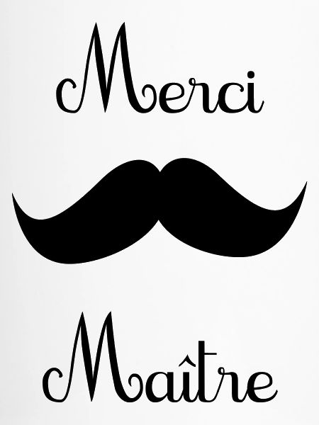 merci maître