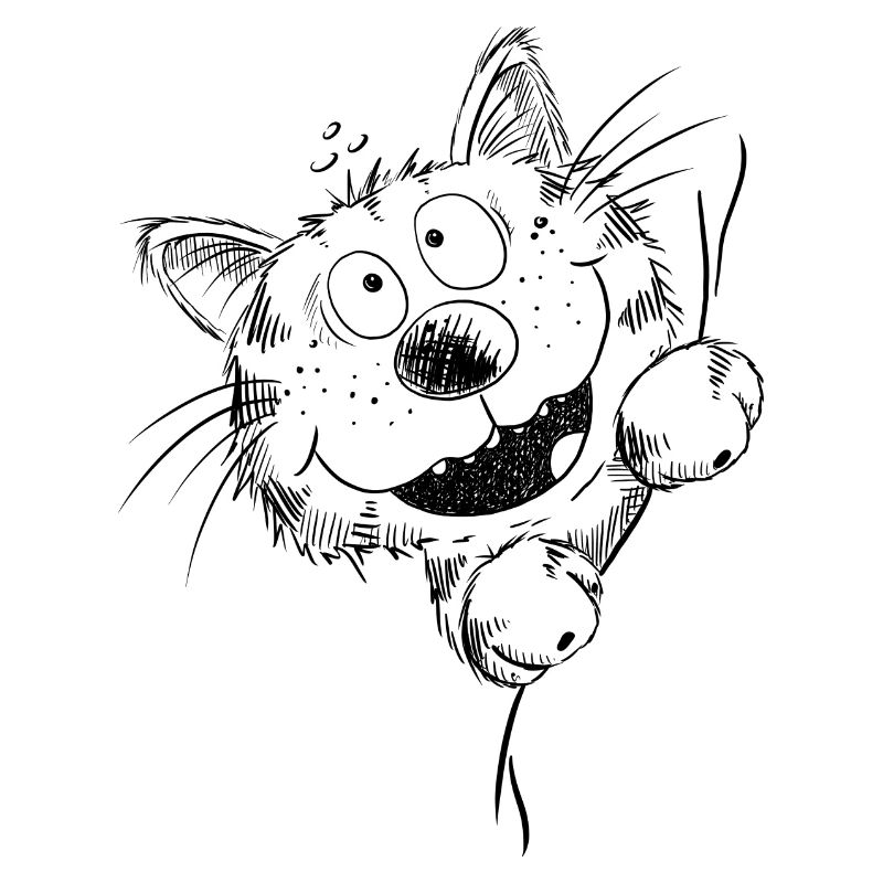 Funny cat laughs
