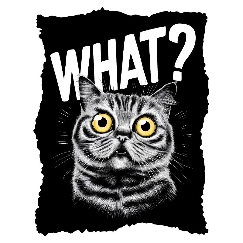 Katze - What?