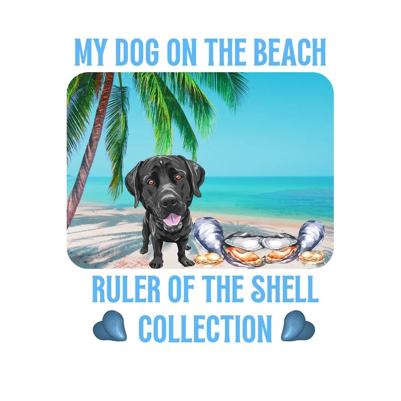 Mon chien sur la plage