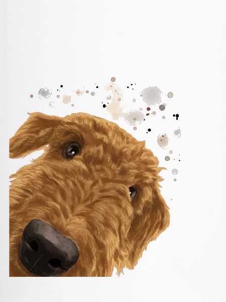 Airedale Terrier Hund