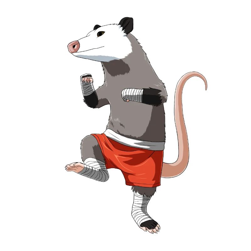 Muay Thai Opossum