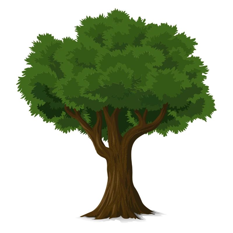 alter Baum