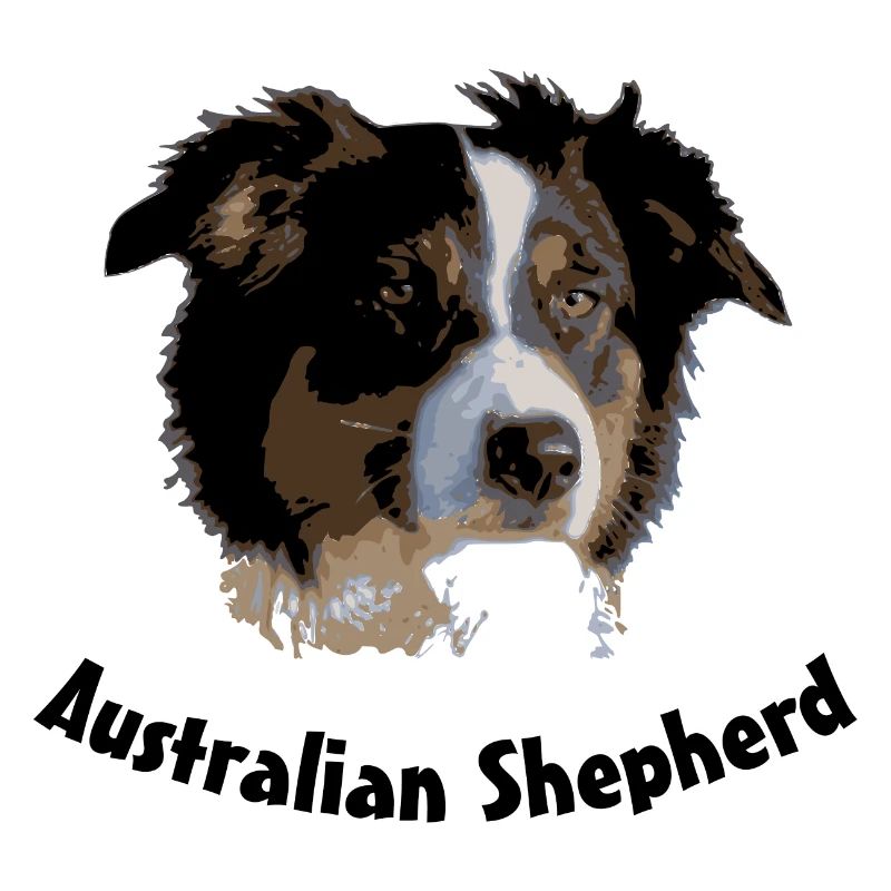 australian shepherd aussie sheep herd cattle