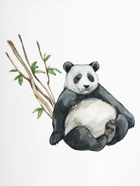 Panda Eukalyptus