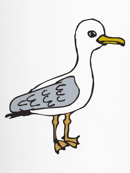 Möwe