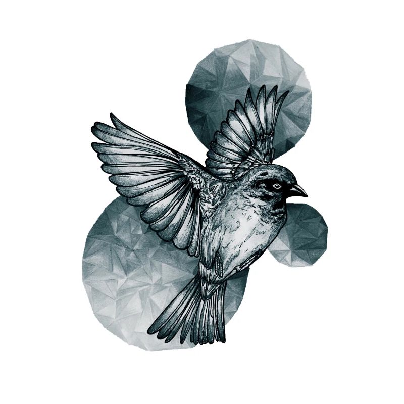 Dark Bird