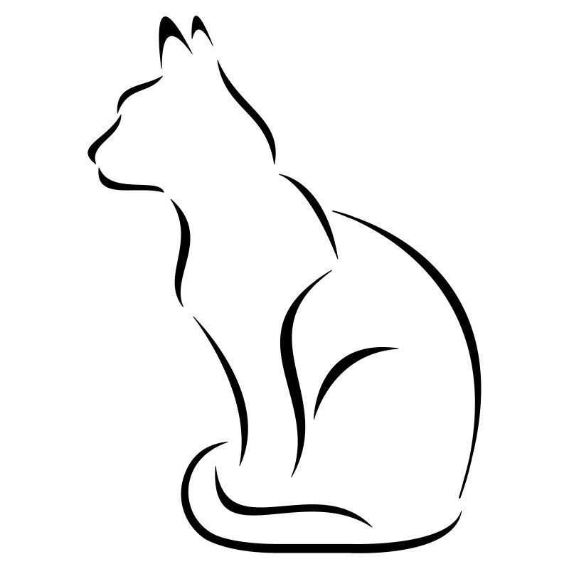katze