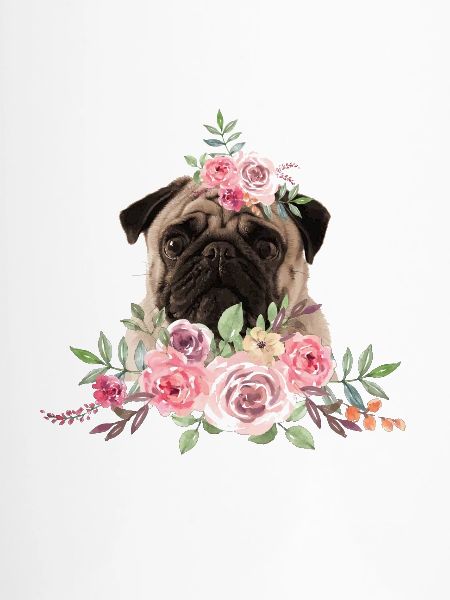 Mops