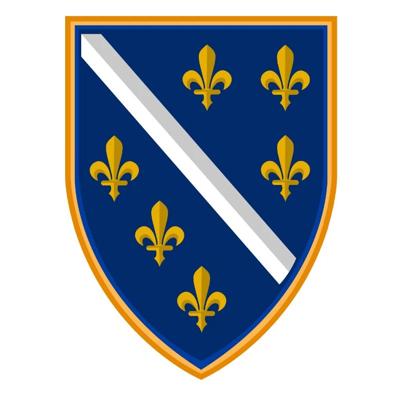 BiH Bosna