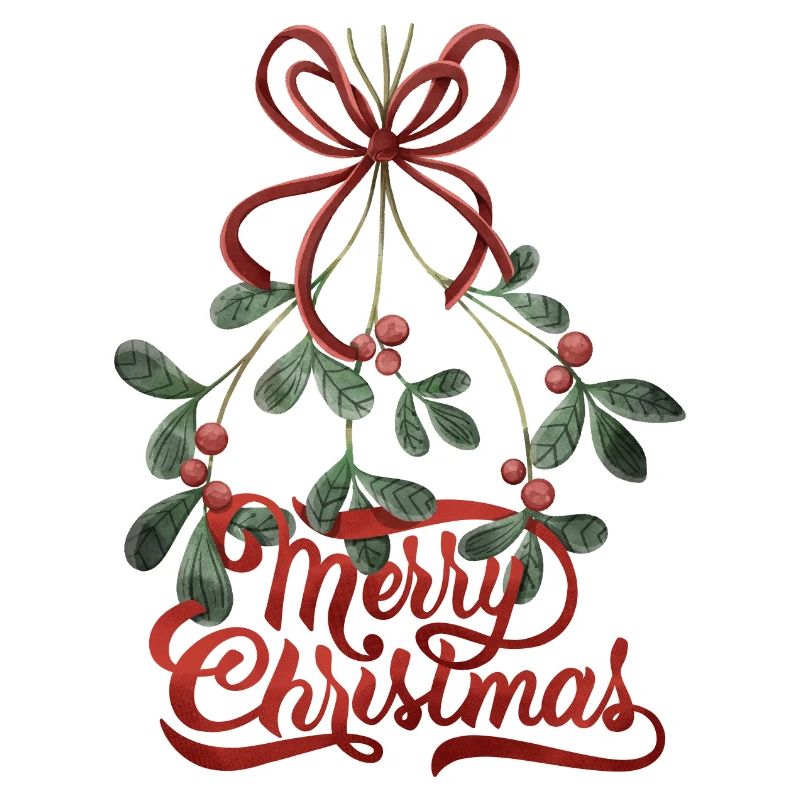 Joyeux lettrage de Noël au gui