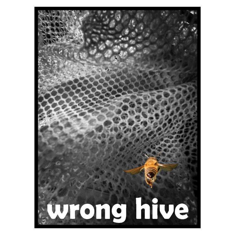 Wrong Hive
