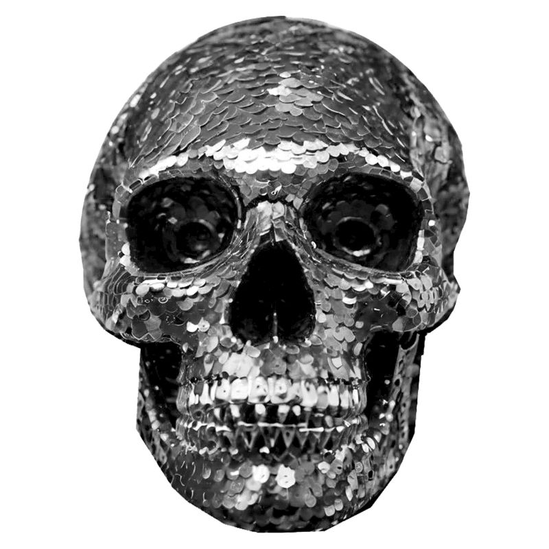 Skull, metallic, sequins, rivets, silver