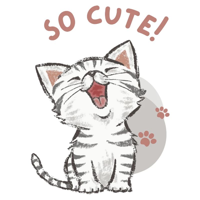 Chat - Trop mignon !
