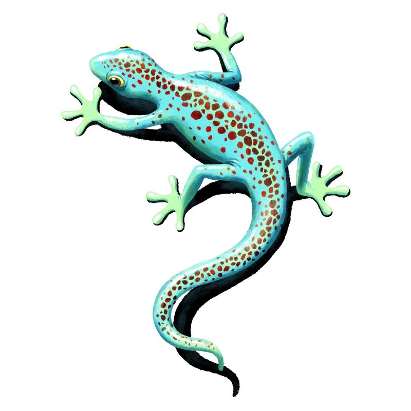 gefleckter Gecko