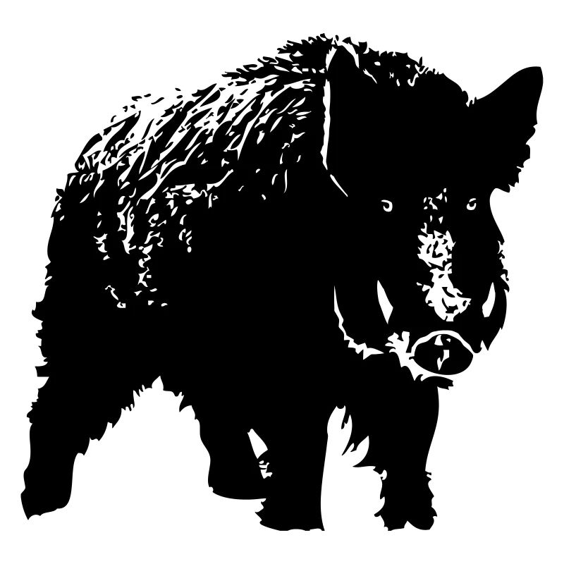 Wild Boar - Wildschwein