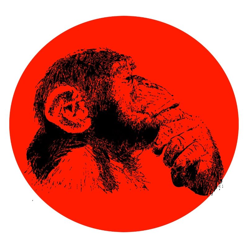 Think monkey chimpanzee