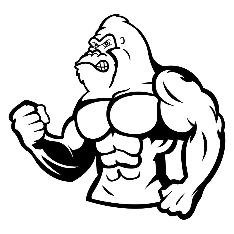 gorilla silverback 01