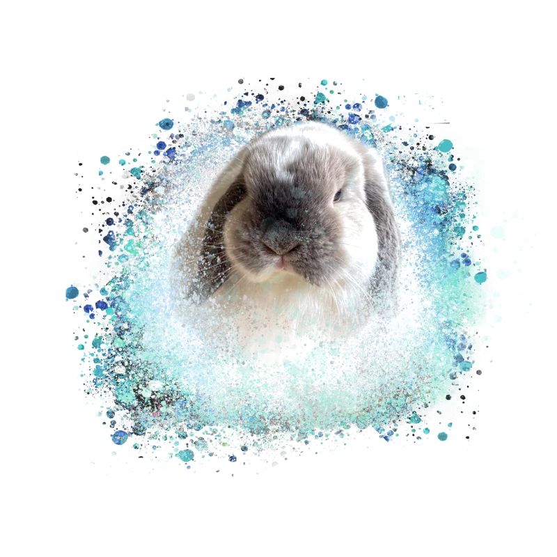 oreille floppy, lapin, graffiti, rose, lapin