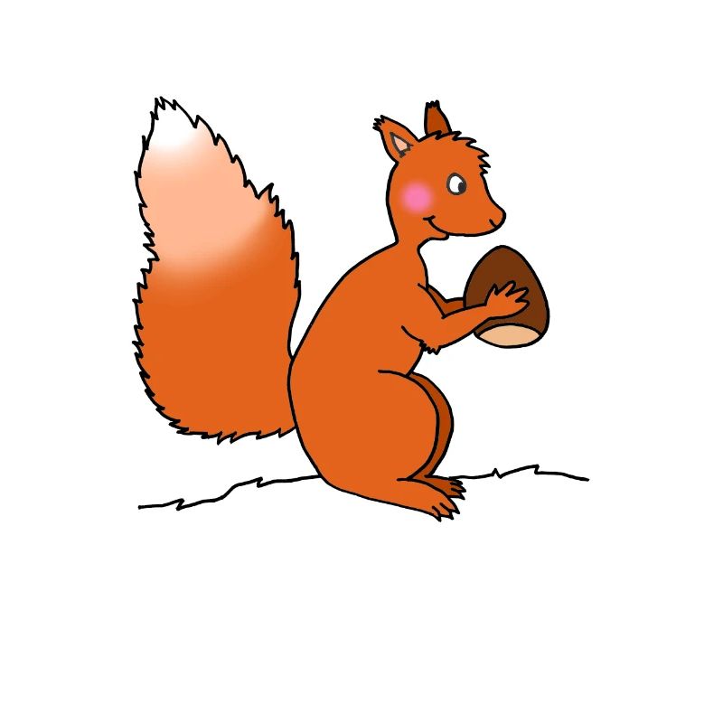 Eichhörnchen mit Nuss