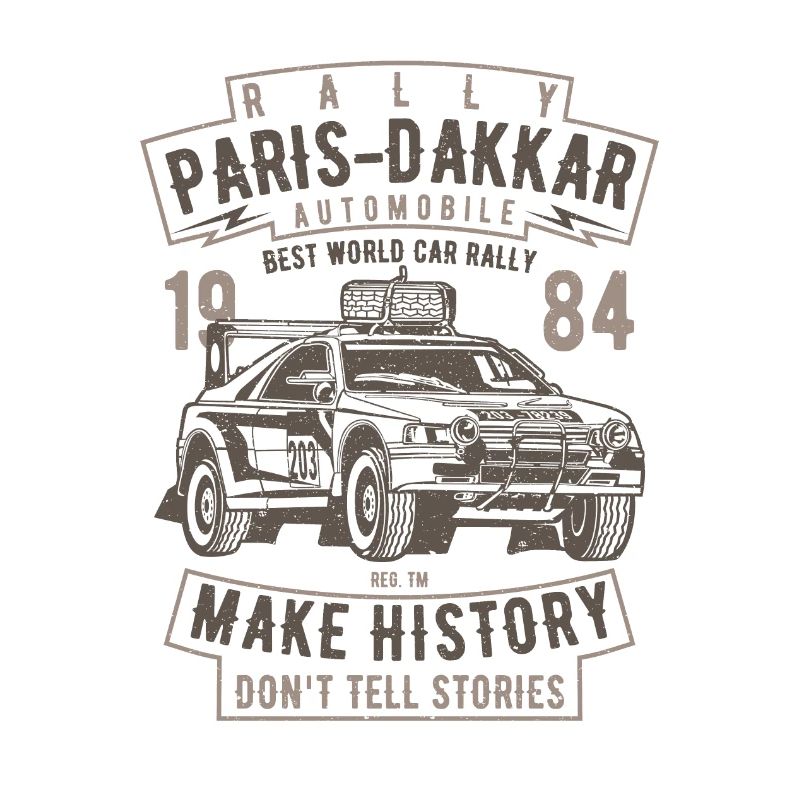 Rally Paris Dakar Automobile
