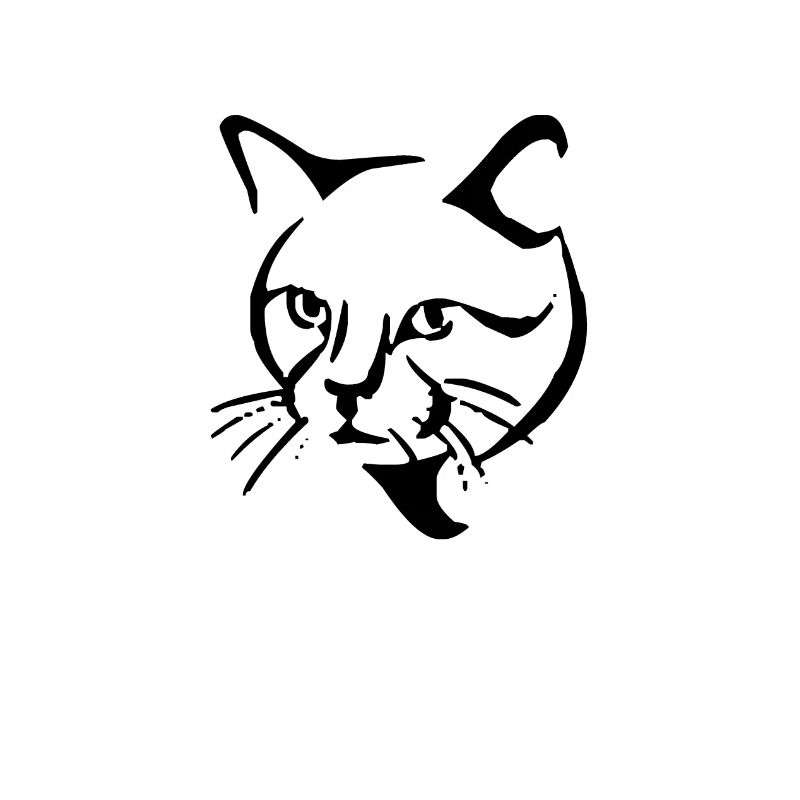 Petit chat mignon visage visage