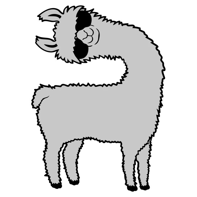 Lama looks crooked