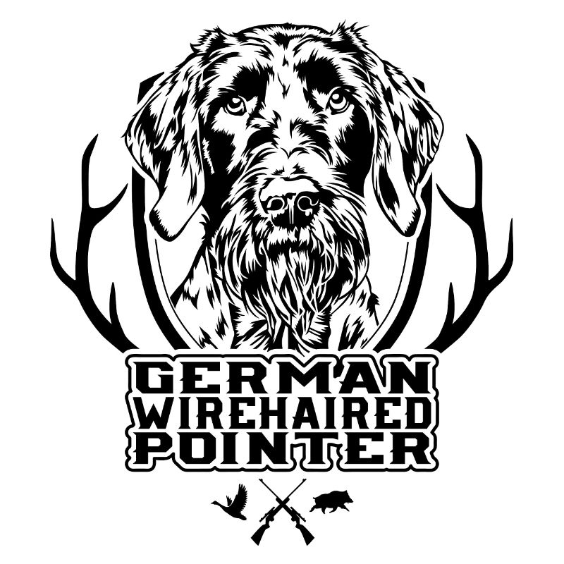 German Wirehaired Pointer Jagdhunde Hunde Wilsigns
