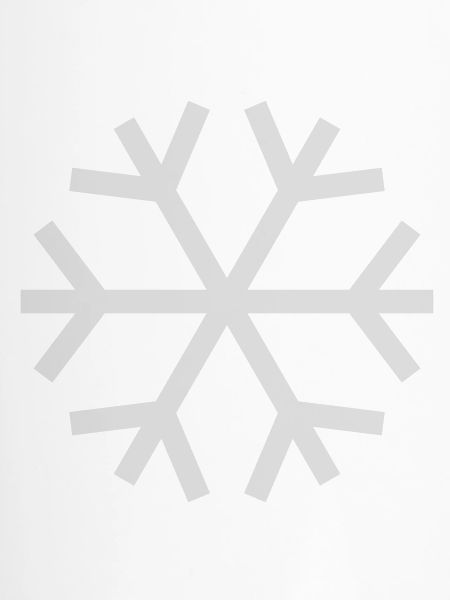 Snowflake