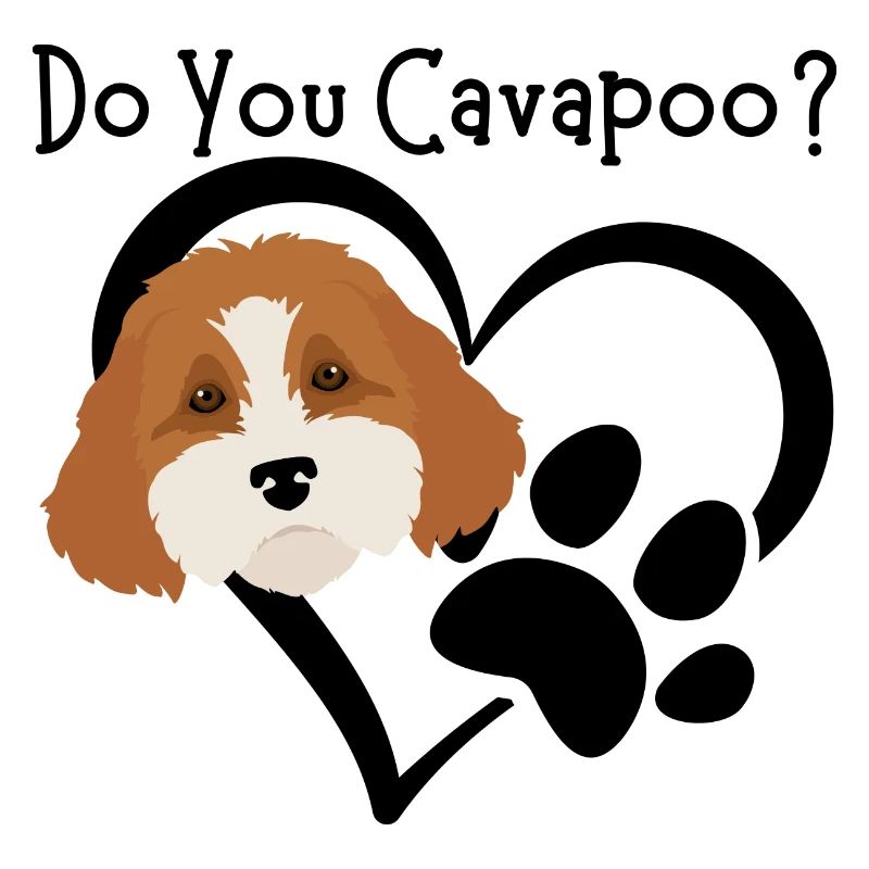Do You Cavapoo?