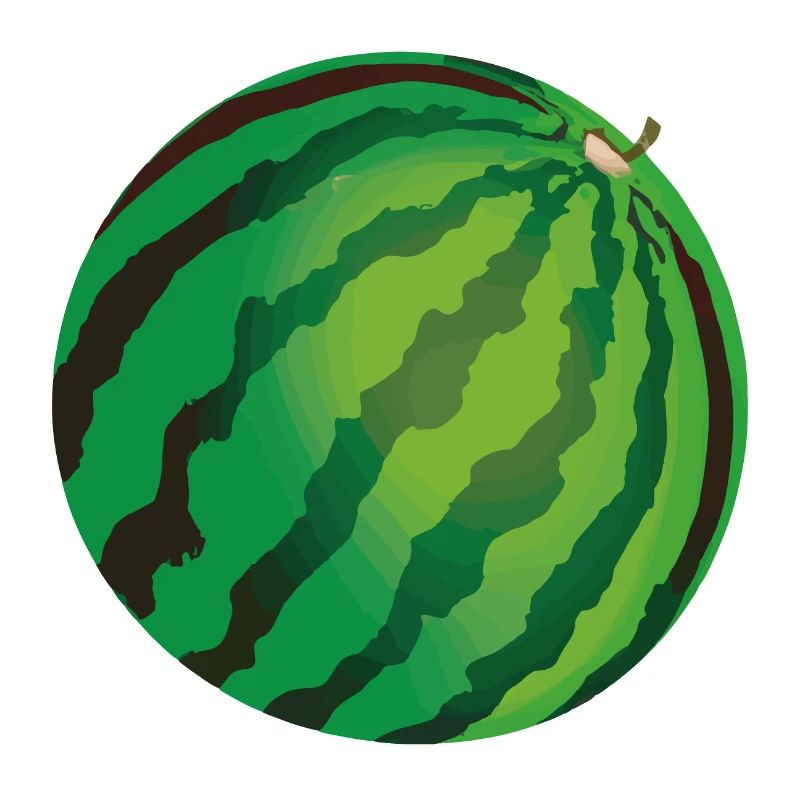 Illustration de pastèque Round Ball Idée cadeau
