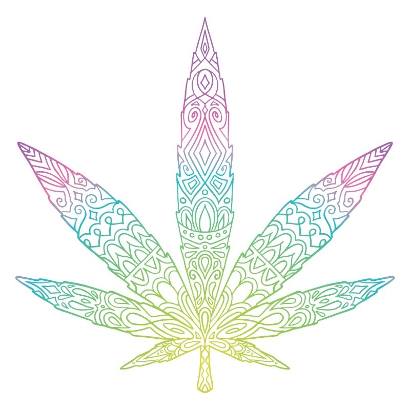Cannabis