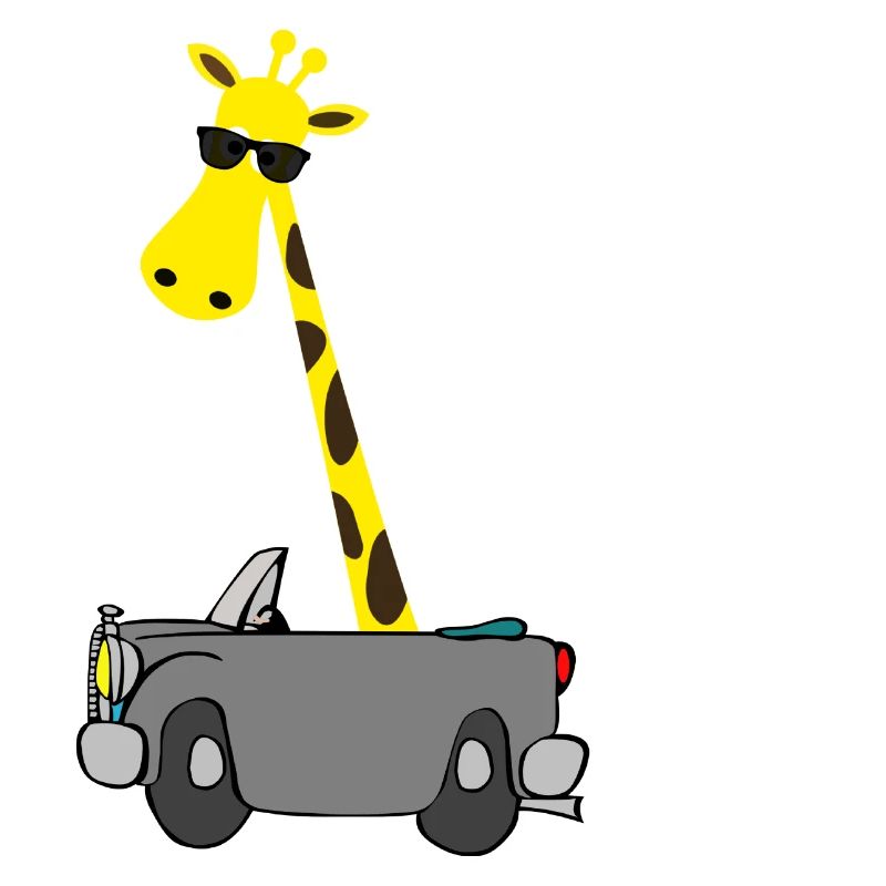 Giraffe mit Sonnenbrille | Das perfekte Geschenk