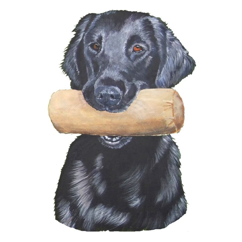 Flatcoated retriever sticker