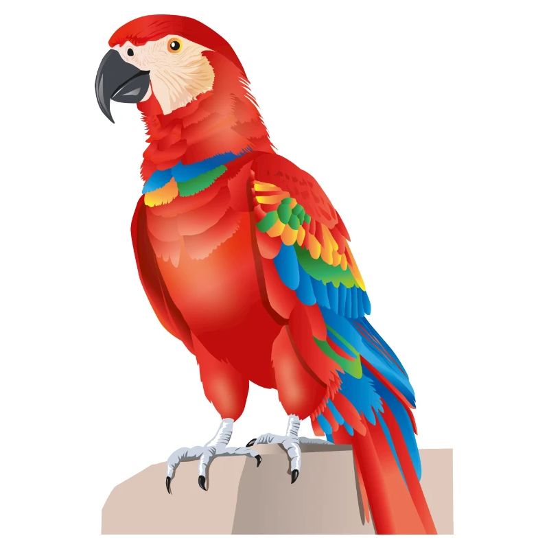 Ara