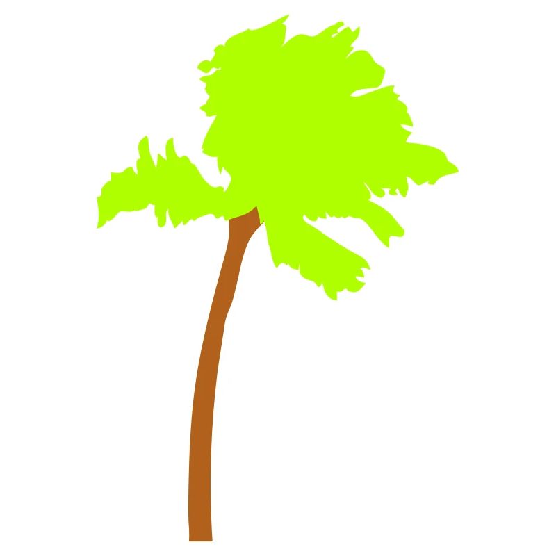 Palm Tree Island Tree Plage Vacances Noix de Mer Cool