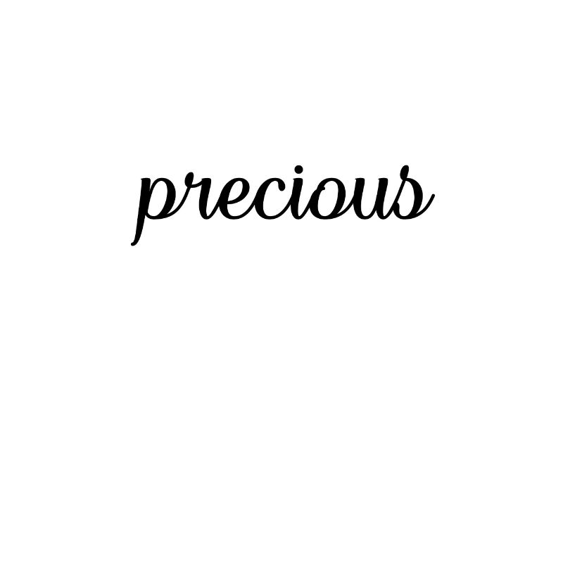 Text 014 precious