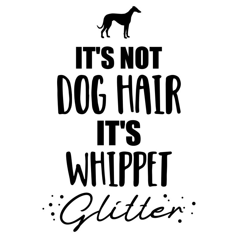 Whippet