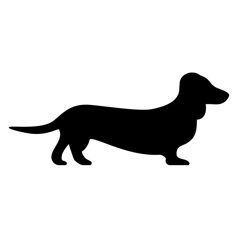 Hund: Dackel