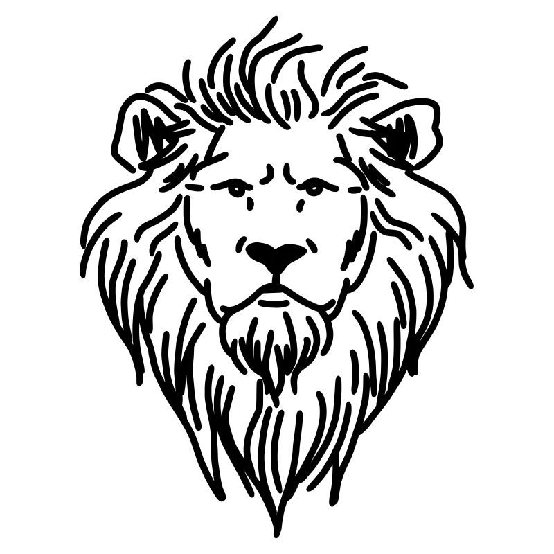 Drawing lion lion head