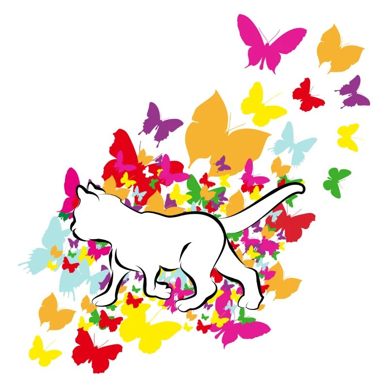 chat papillon 2