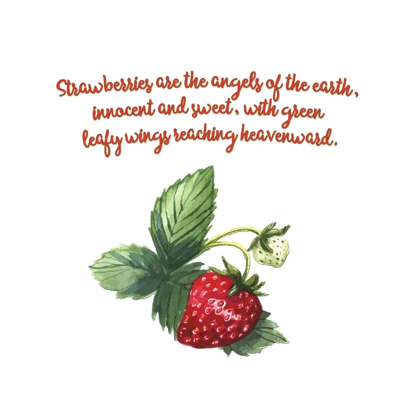 Strawberries- Erdbeeren