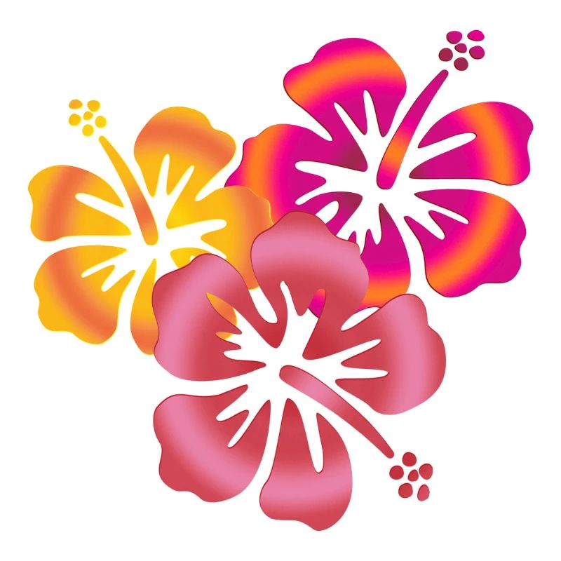 BALI Hibiscus- Blüten